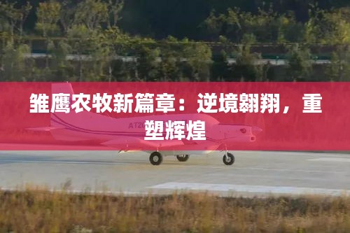 公司简介 第421页