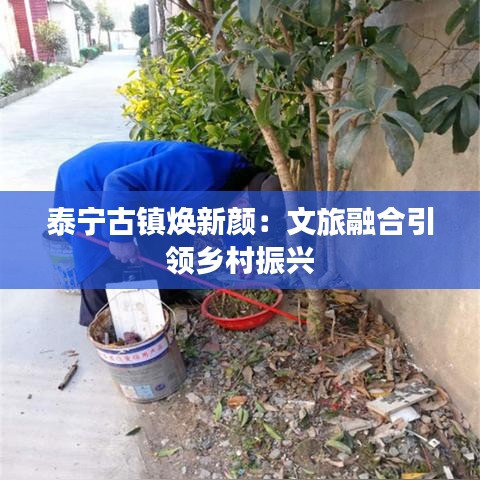 公司简介 第418页