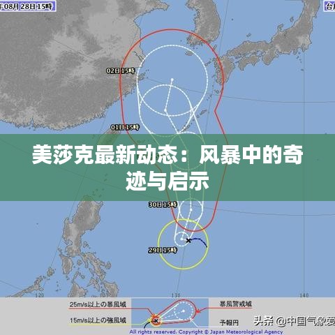 美莎克最新动态：风暴中的奇迹与启示