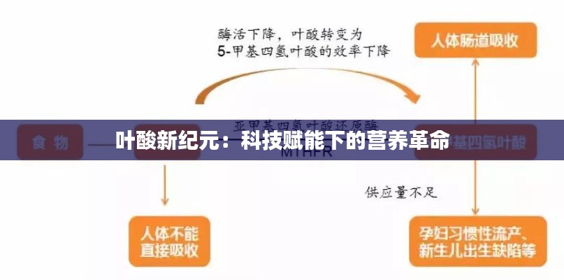 避雷塔 第135页
