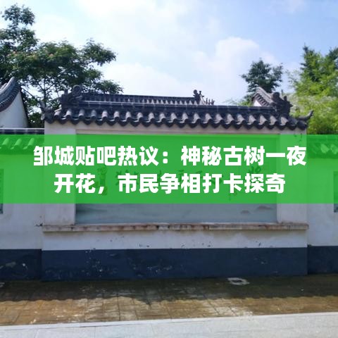 囊萤映雪 第3页