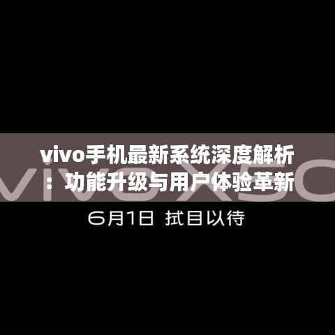 vivo手机最新系统深度解析：功能升级与用户体验革新
