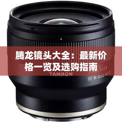 踊贵屦贱 第4页