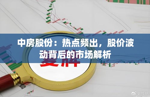 衣无二彩 第4页