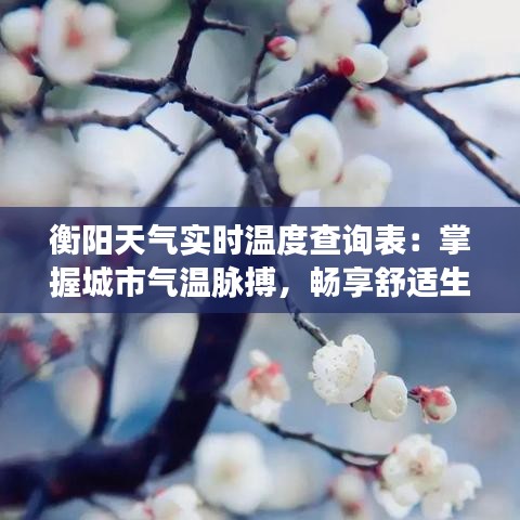 公司新闻 第128页