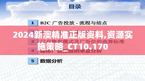 2024新澳精准正版资料,资源实施策略_CT10.170