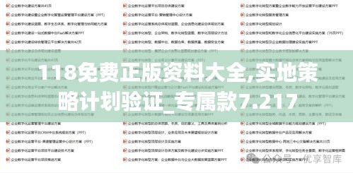 118免费正版资料大全,实地策略计划验证_专属款7.217