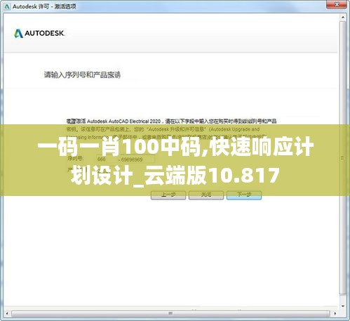 一码一肖100中码,快速响应计划设计_云端版10.817