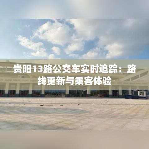 弃文就武 第4页