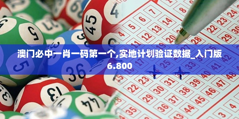 澳门必中一肖一码第一个,实地计划验证数据_入门版6.800