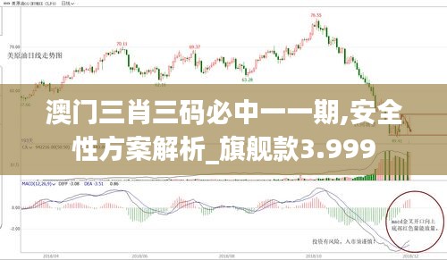 澳门三肖三码必中一一期,安全性方案解析_旗舰款3.999