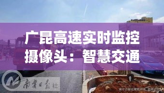 真独简贵 第3页