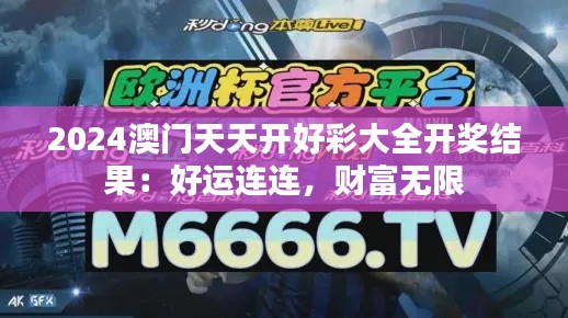 2024澳门天天开好彩大全开奖结果：好运连连，财富无限