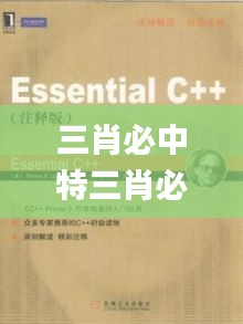 三肖必中特三肖必中,诠释解析落实_Essential9.614