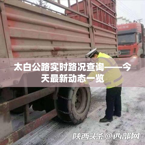 贵人善忘 第3页