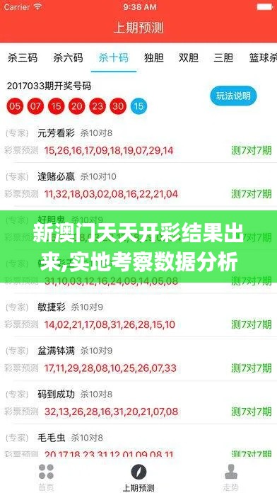 新澳门天天开彩结果出来,实地考察数据分析_V29.607