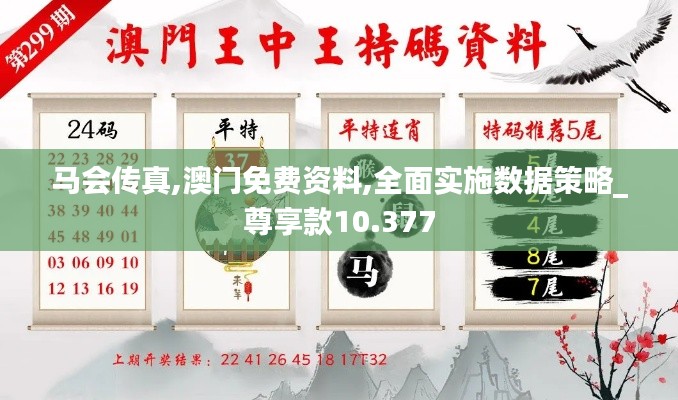 马会传真,澳门免费资料,全面实施数据策略_尊享款10.377