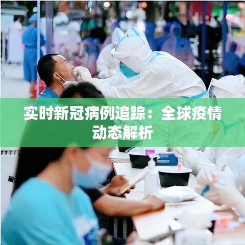 实时新冠病例追踪：全球疫情动态解析