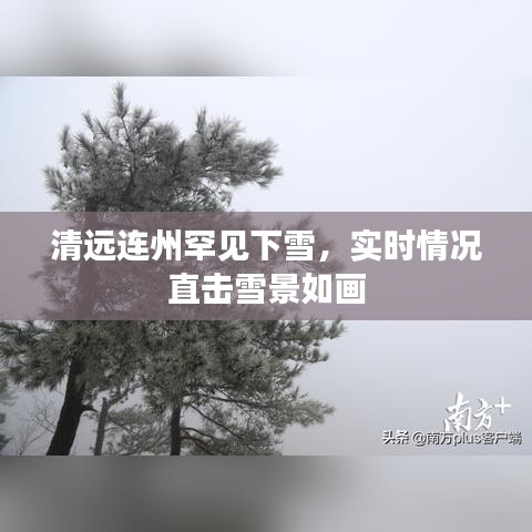 清远连州罕见下雪，实时情况直击雪景如画