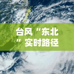 芳兰竟体 第2页