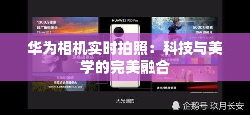百鸟归巢 第2页