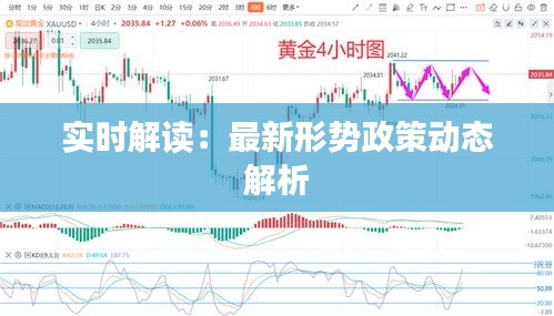 实时解读：最新形势政策动态解析