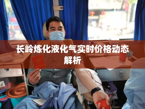 长岭炼化液化气实时价格动态解析