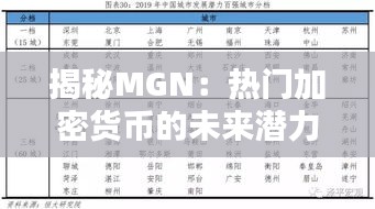 揭秘MGN：热门加密货币的未来潜力与风险
