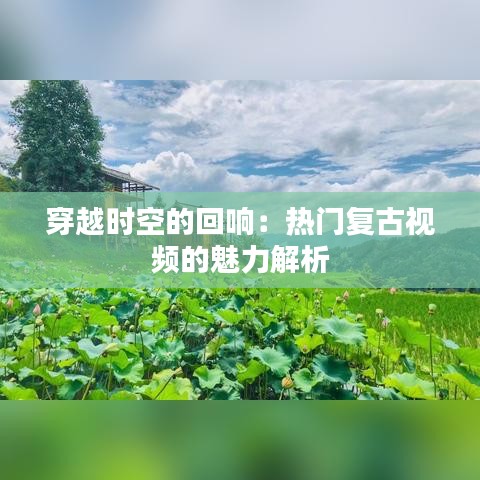 穿越时空的回响：热门复古视频的魅力解析
