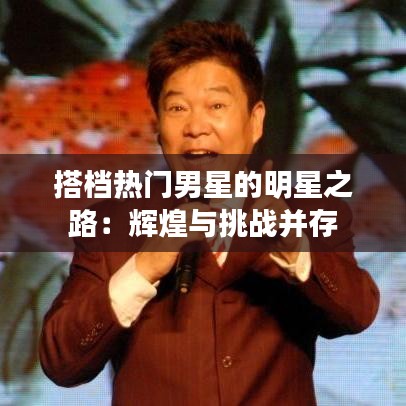 搭档热门男星的明星之路：辉煌与挑战并存