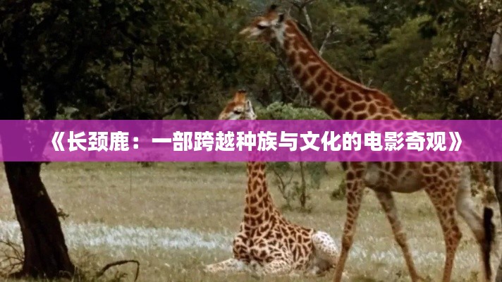 第737页