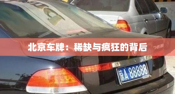 第733页