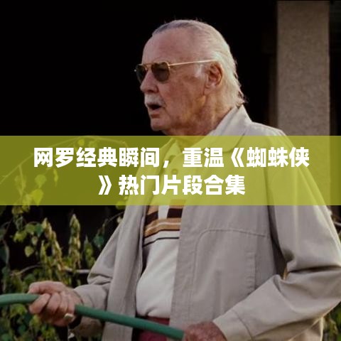 网罗经典瞬间，重温《蜘蛛侠》热门片段合集