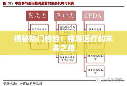 揭秘热门检验：精准医疗的未来之路