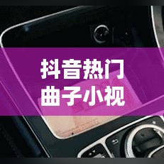 从容就义 第2页