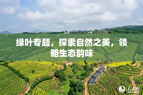 天潢贵胄 第2页