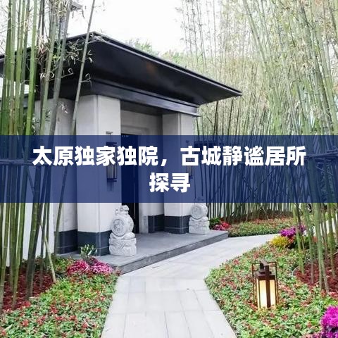举世无双 第2页