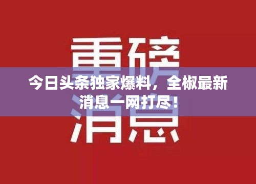 今日头条独家爆料，全椒最新消息一网打尽！