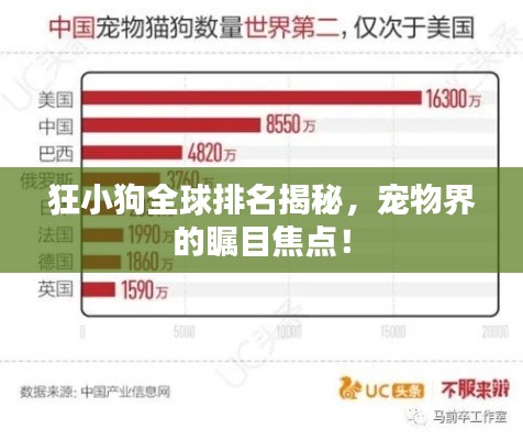 百鸟齐鸣 第2页