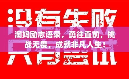 衣无二彩 第2页