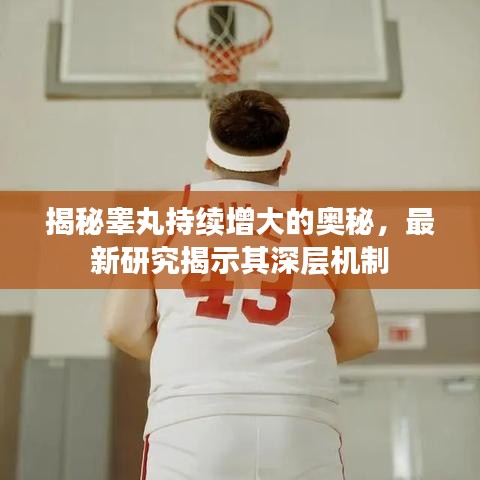 公司新闻 第35页