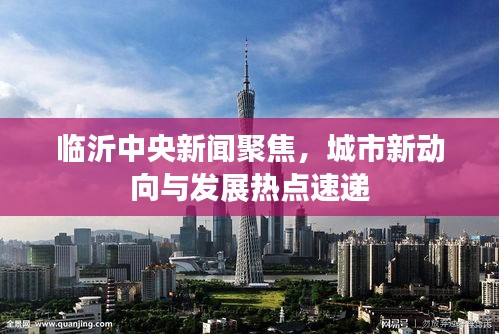 临沂中央新闻聚焦，城市新动向与发展热点速递