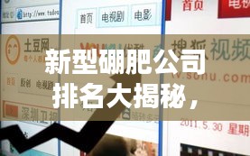 夫贵妻荣 第2页