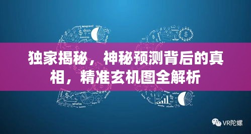 独家揭秘，神秘预测背后的真相，精准玄机图全解析