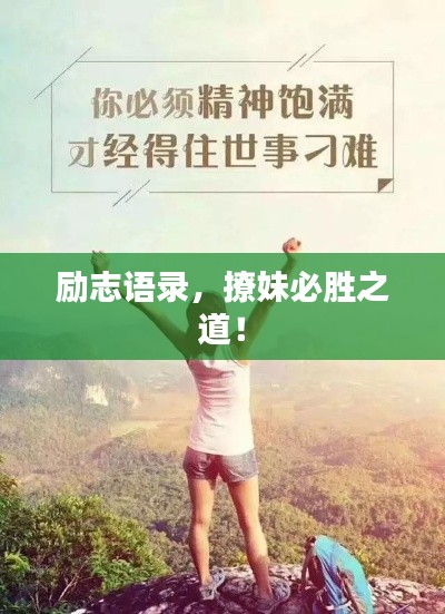 公司新闻 第27页