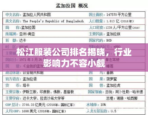 松江服装公司排名揭晓，行业影响力不容小觑
