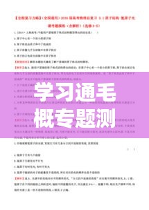 学习通毛概专题测试题深度解析与探讨