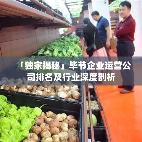 「独家揭秘」毕节企业运营公司排名及行业深度剖析