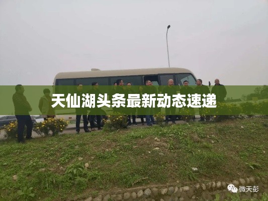 天仙湖头条最新动态速递