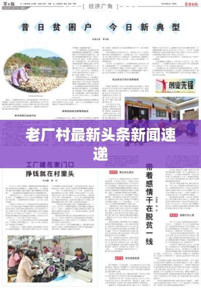 衣不重采
